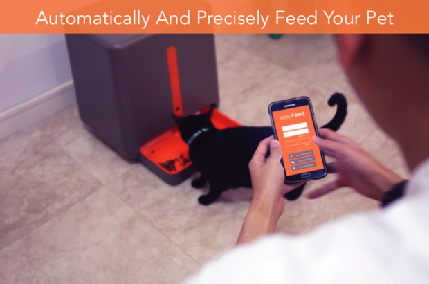 easyFeed อุปกรณ์สอดส่องสัตว์เลี้ยงภายในบ้านมาพร้อมกับระบบให้อาหารอัตโนมัติ