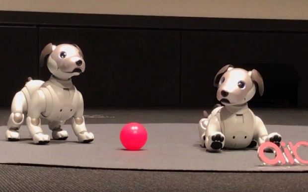 ‘โซนี่’เปิดตัวหุ่นยนต์สุนัข‘ไอโบะ’รุ่นใหม่ หลังหยุดพัฒนาตั้งแต่ปี2549 (ชมคลิป)