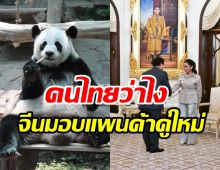 ชาวเน็ตเสียงแตก! จีนจ่อมอบแพนด้ายักษ์คู่ใหม่ให้ไทยฉลองสัมพันธ์50ปี