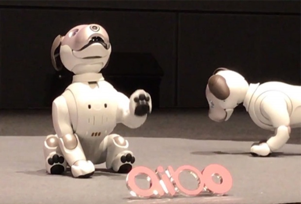 ‘โซนี่’เปิดตัวหุ่นยนต์สุนัข‘ไอโบะ’รุ่นใหม่ หลังหยุดพัฒนาตั้งแต่ปี2549 (ชมคลิป)